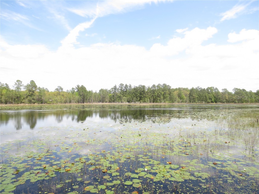 0 SE 10th Street Silver Springs FL 34488 - TOBE LAKE OM702888 image12