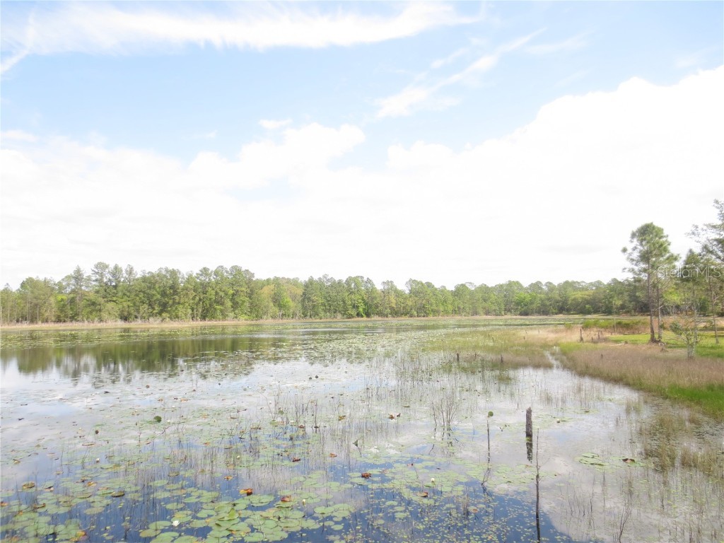 0 SE 10th Street Silver Springs FL 34488 - TOBE LAKE OM702888 image13