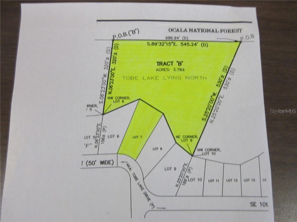 0 SE 10th Street Silver Springs FL 34488 - TOBE LAKE OM702888 image16