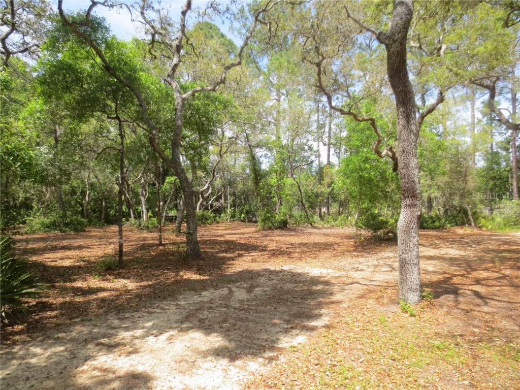 0 SE 10th Street Silver Springs FL 34488 - TOBE LAKE OM702888 image2
