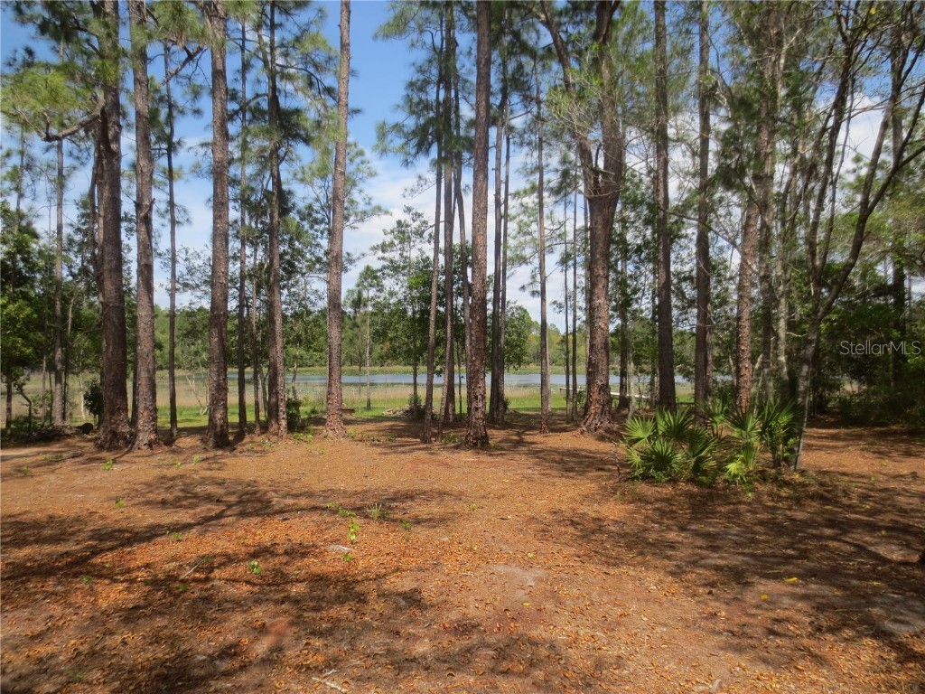 0 SE 10th Street Silver Springs FL 34488 - TOBE LAKE OM702888 image3