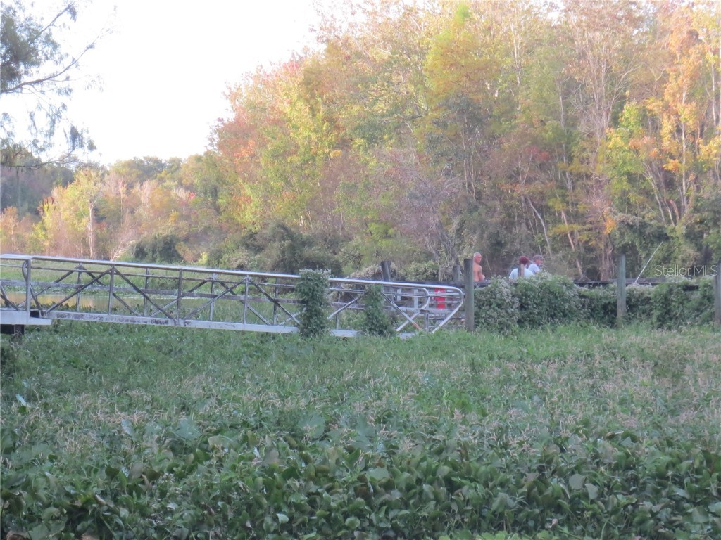 0 SE 10th Street Silver Springs FL 34488 - TOBE LAKE OM702888 image33