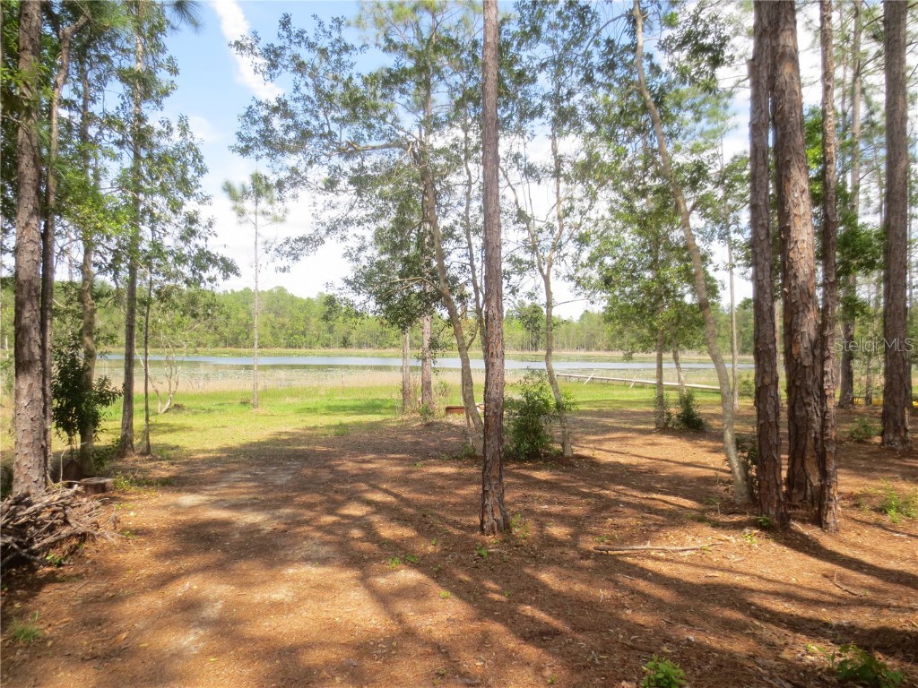0 SE 10th Street Silver Springs FL 34488 - TOBE LAKE OM702888 image4