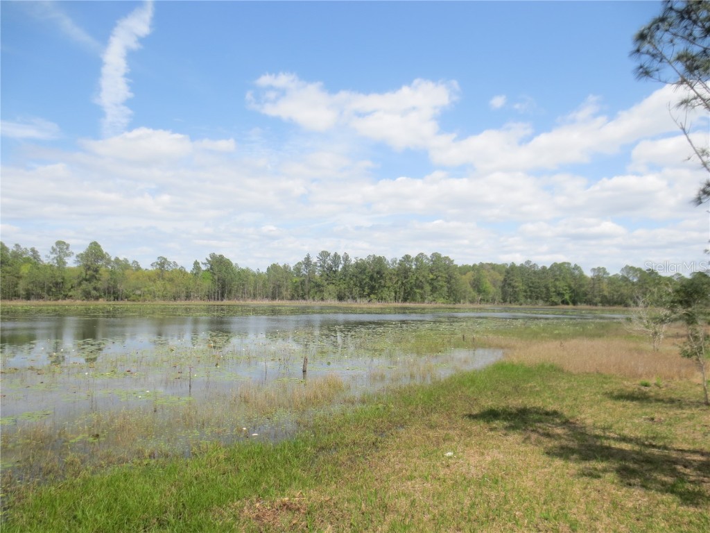 0 SE 10th Street Silver Springs FL 34488 - TOBE LAKE OM702888 image7