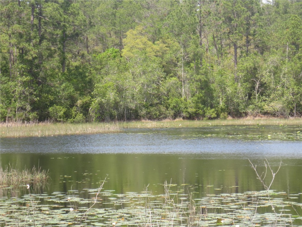 0 SE 10th Street Silver Springs FL 34488 - TOBE LAKE OM702888 image8