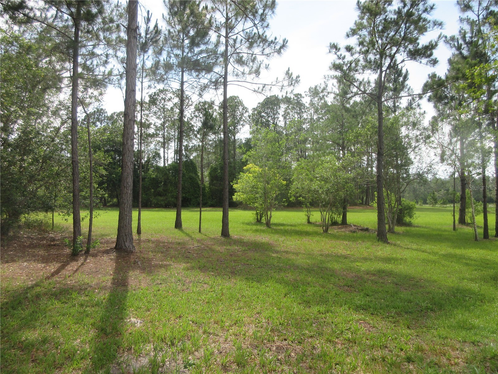 0 SE 10th Street Silver Springs FL 34488 - TOBE LAKE OM725798 image1