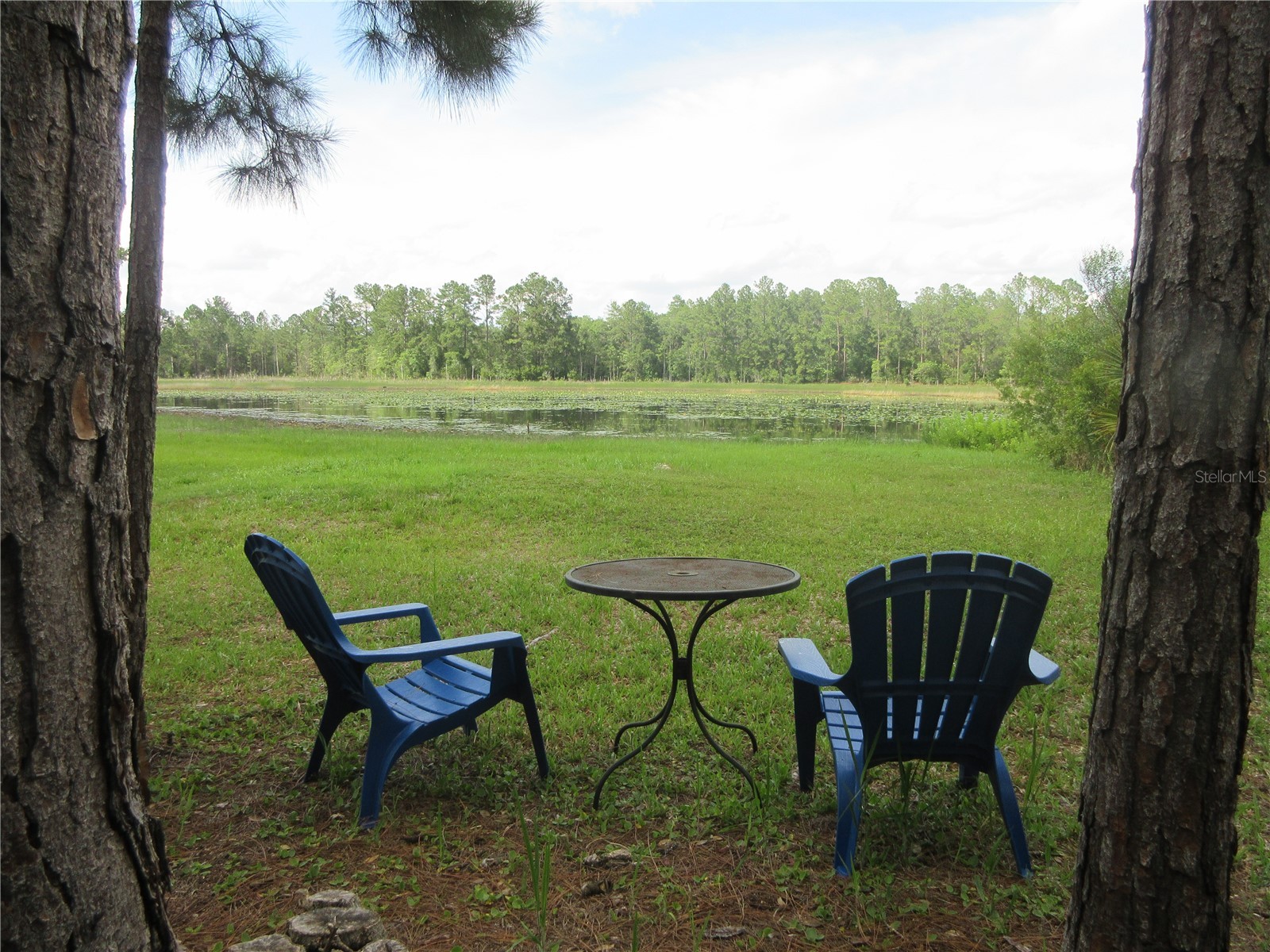0 SE 10th Street Silver Springs FL 34488 - TOBE LAKE OM725798 image10