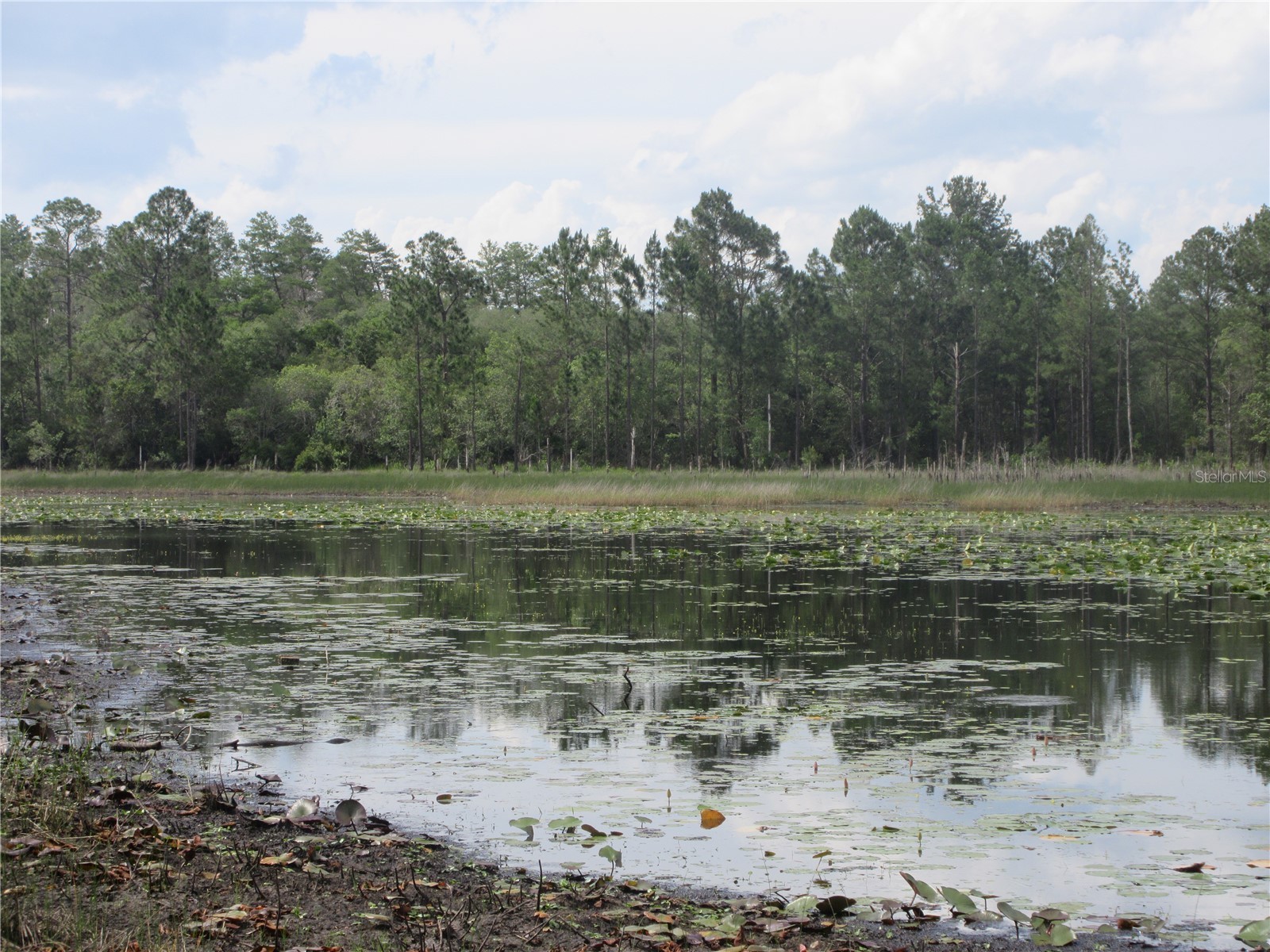 0 SE 10th Street Silver Springs FL 34488 - TOBE LAKE OM725798 image11
