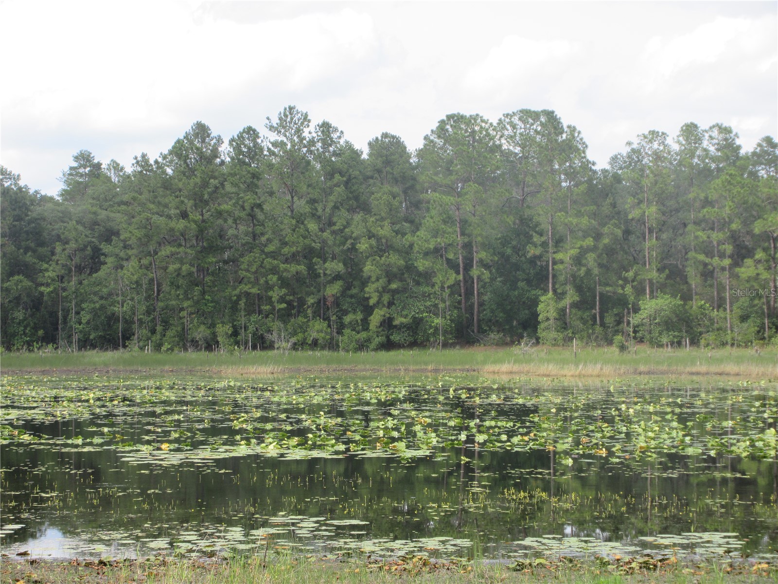0 SE 10th Street Silver Springs FL 34488 - TOBE LAKE OM725798 image12