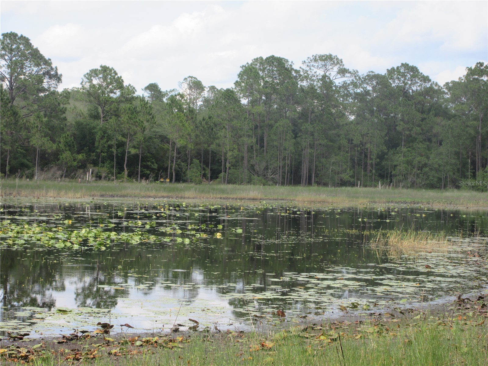 0 SE 10th Street Silver Springs FL 34488 - TOBE LAKE OM725798 image13
