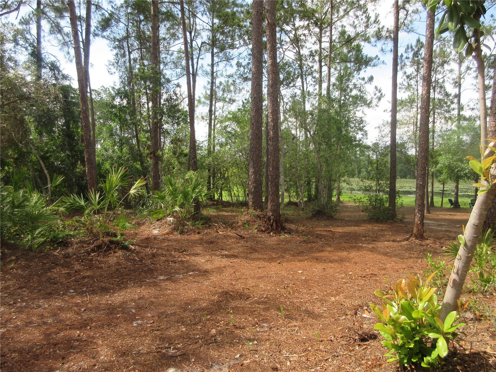 0 SE 10th Street Silver Springs FL 34488 - TOBE LAKE OM725798 image14