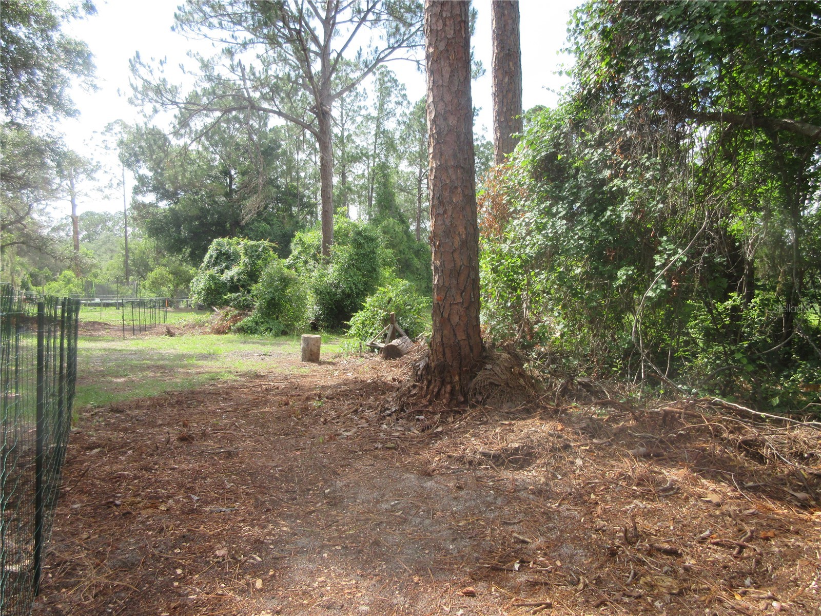 0 SE 10th Street Silver Springs FL 34488 - TOBE LAKE OM725798 image15