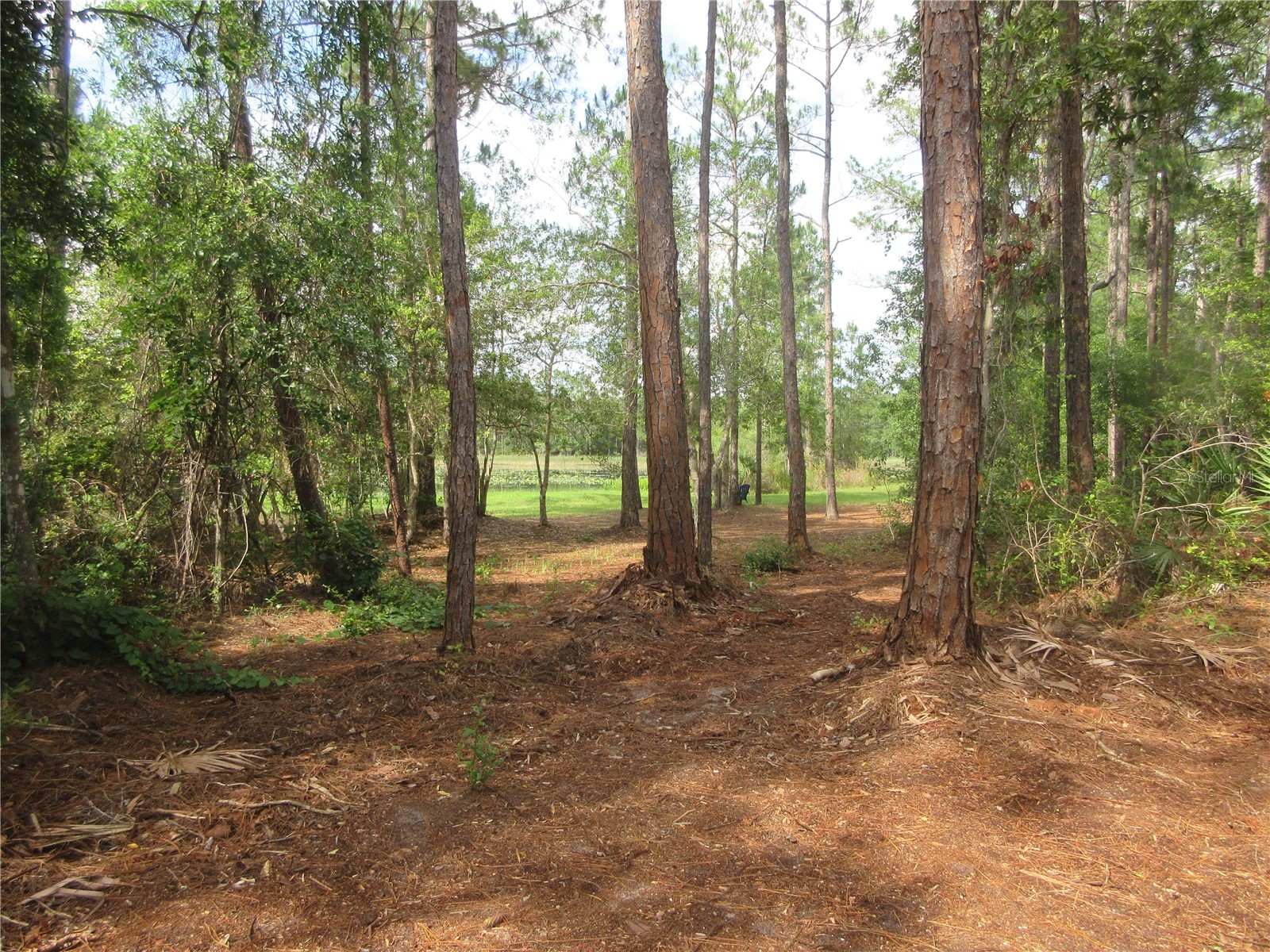 0 SE 10th Street Silver Springs FL 34488 - TOBE LAKE OM725798 image16