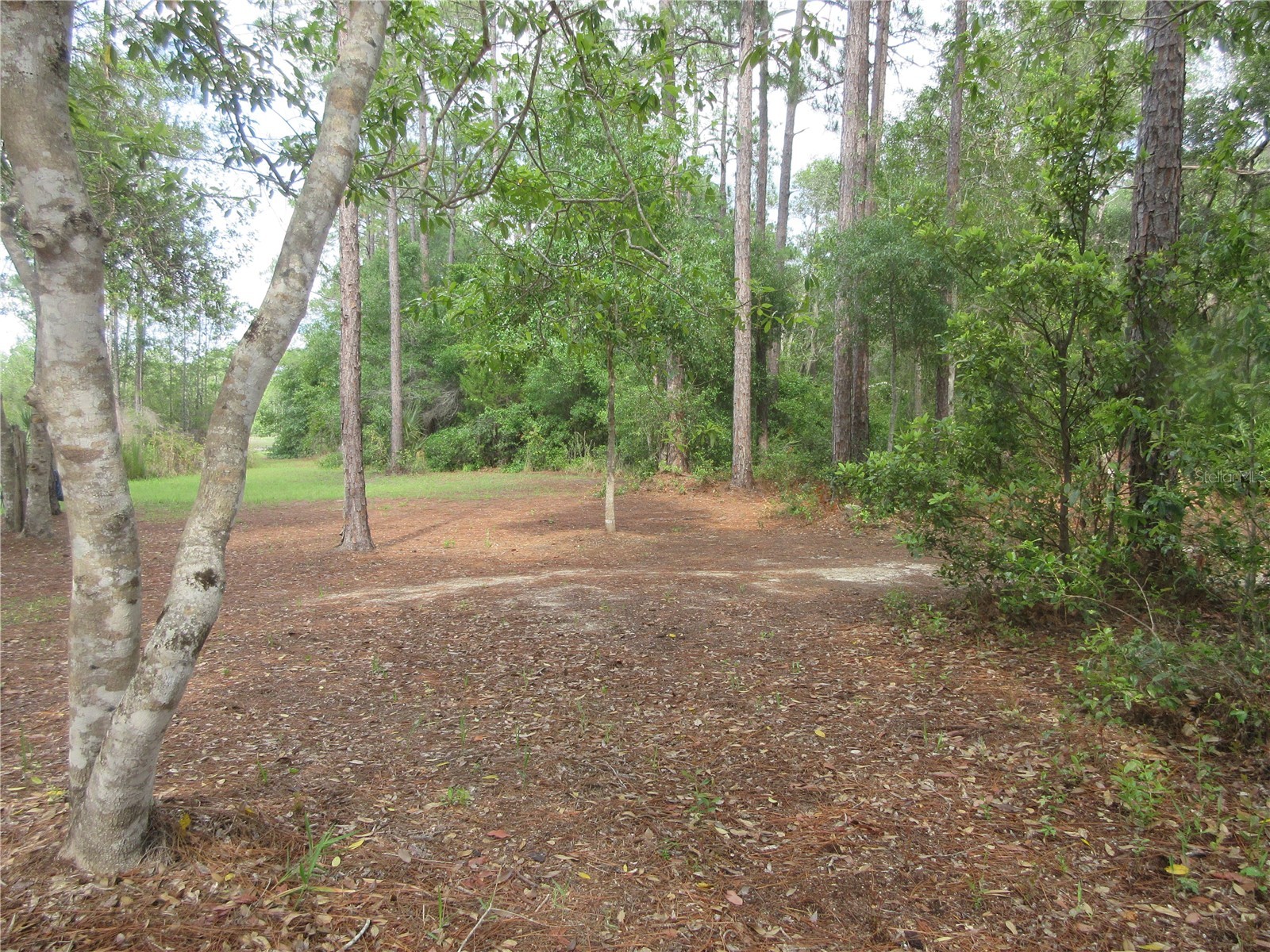 0 SE 10th Street Silver Springs FL 34488 - TOBE LAKE OM725798 image17
