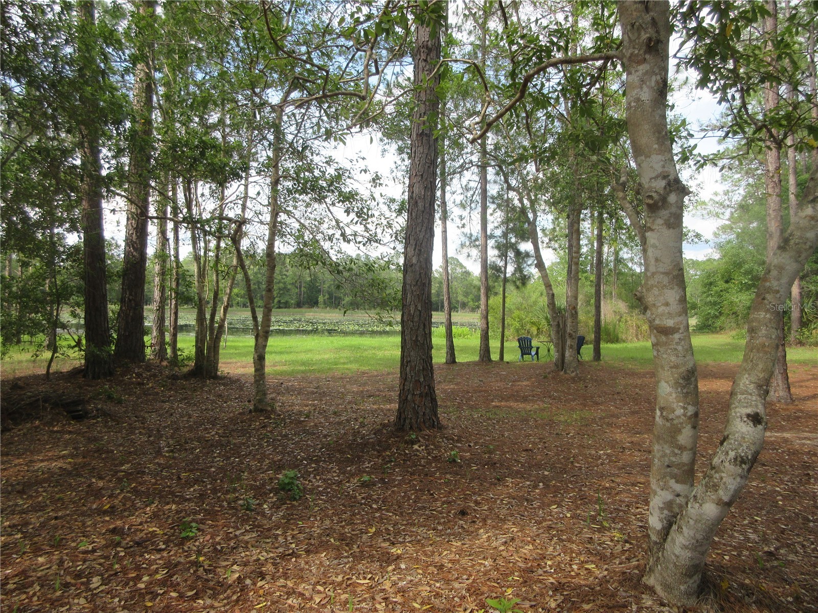 0 SE 10th Street Silver Springs FL 34488 - TOBE LAKE OM725798 image18
