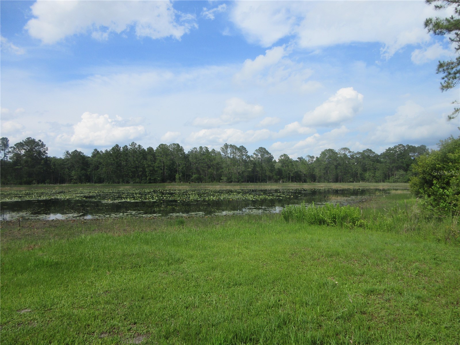 0 SE 10th Street Silver Springs FL 34488 - TOBE LAKE OM725798 image2