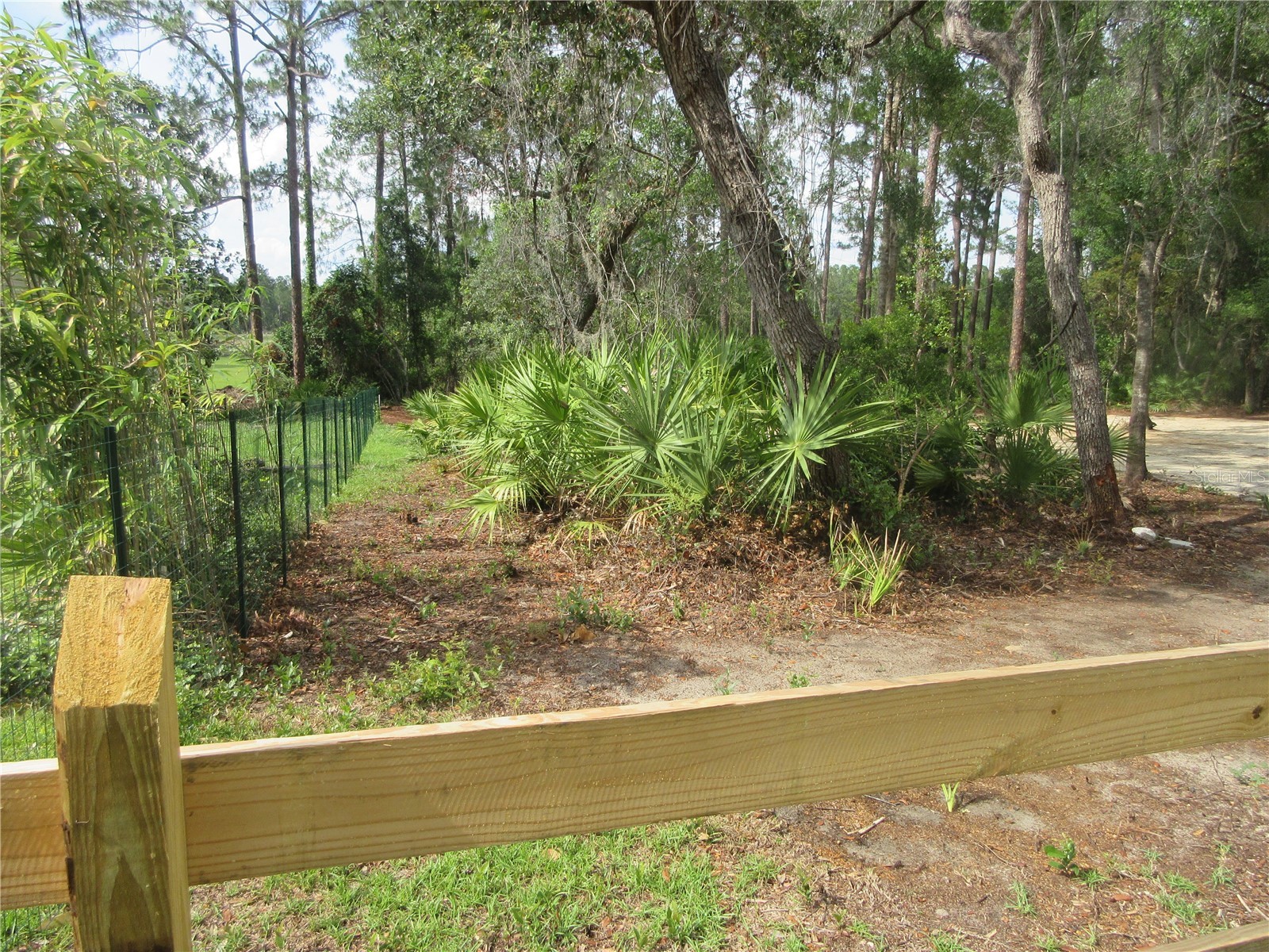 0 SE 10th Street Silver Springs FL 34488 - TOBE LAKE OM725798 image21