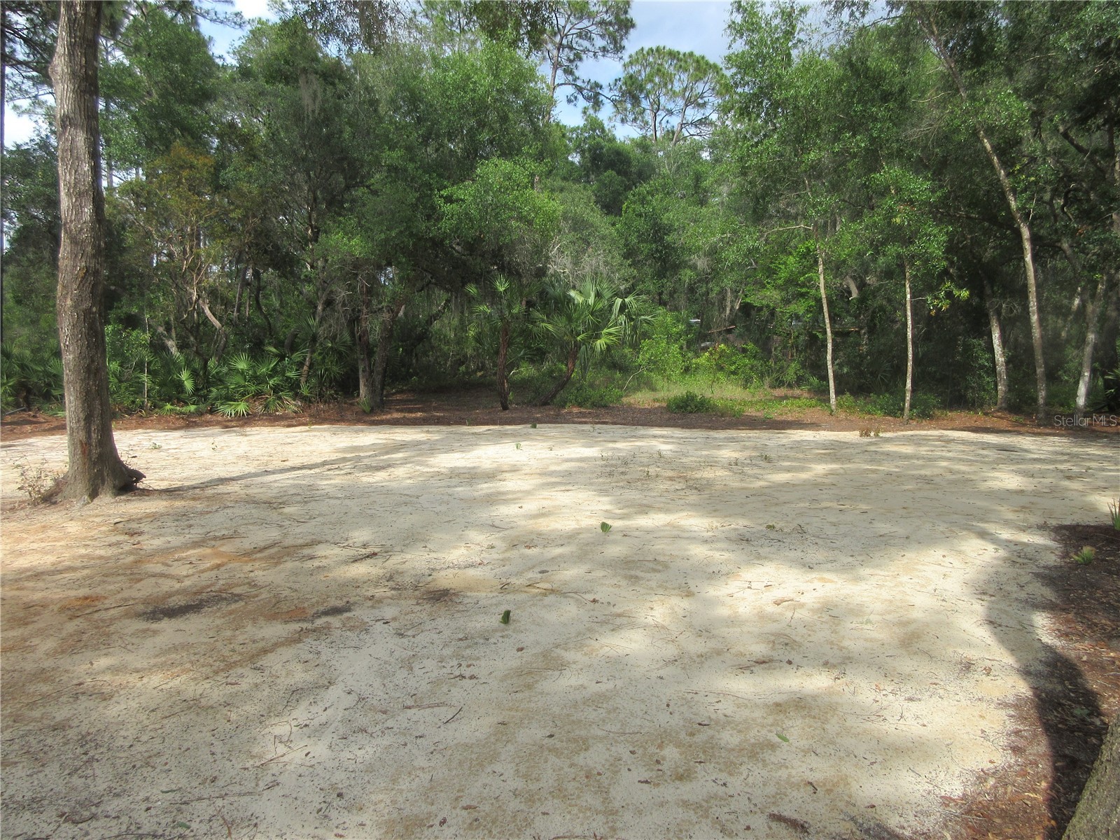 0 SE 10th Street Silver Springs FL 34488 - TOBE LAKE OM725798 image26