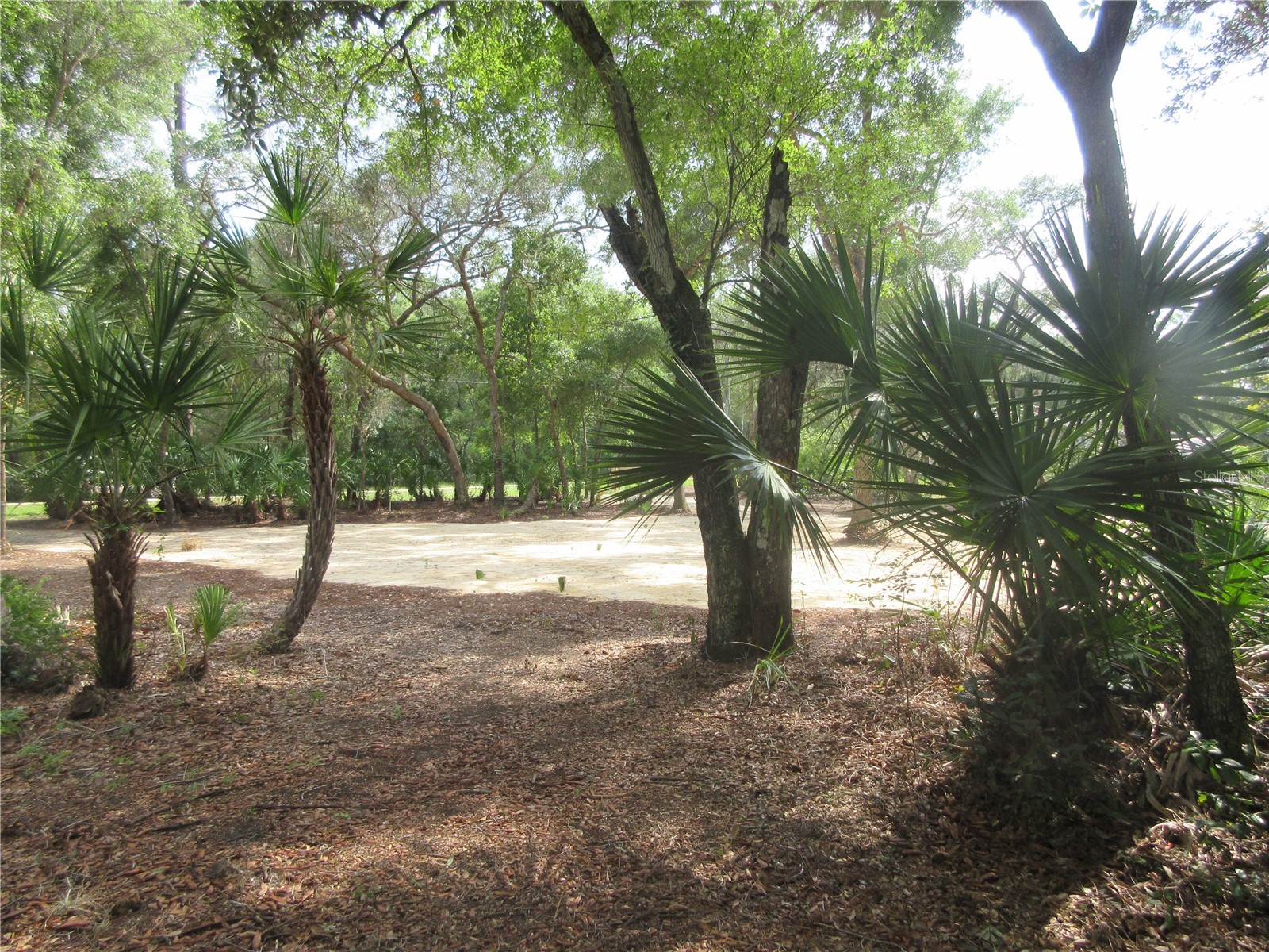0 SE 10th Street Silver Springs FL 34488 - TOBE LAKE OM725798 image28