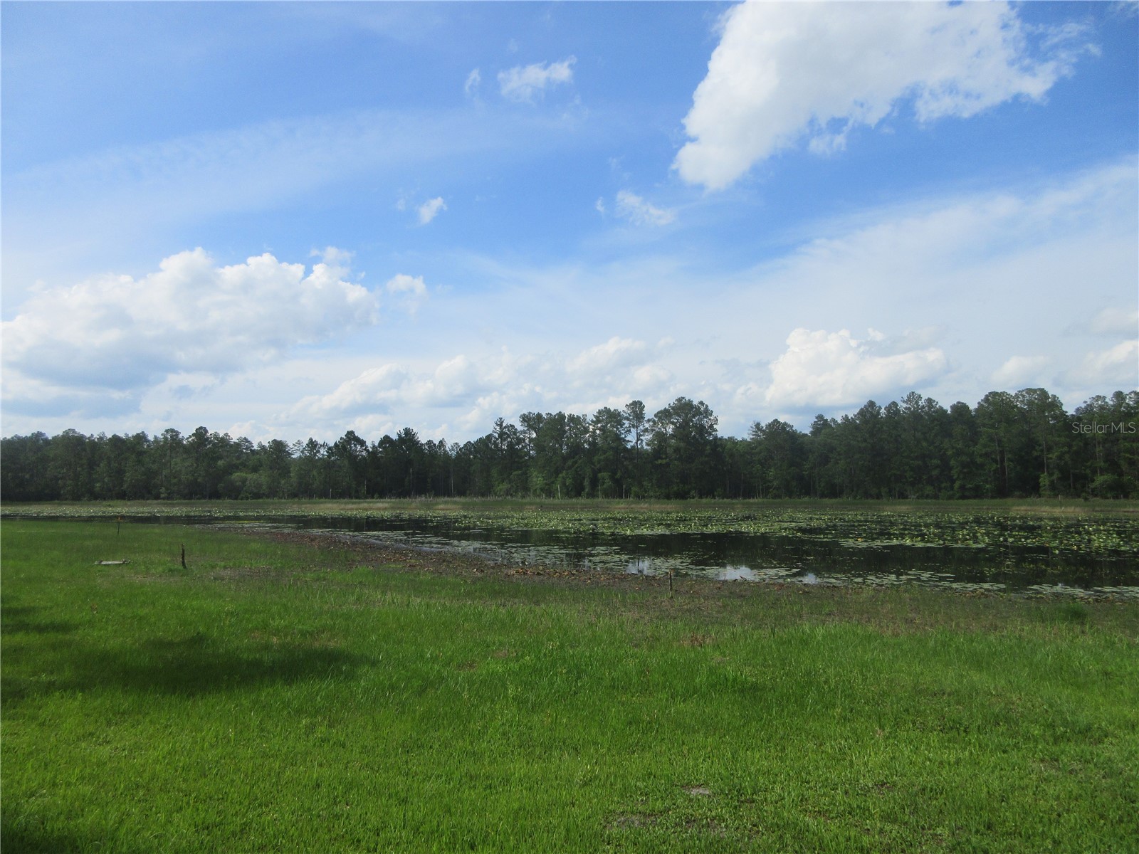 0 SE 10th Street Silver Springs FL 34488 - TOBE LAKE OM725798 image3