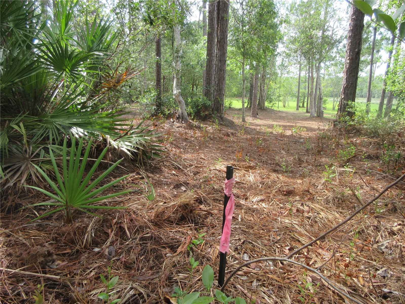 0 SE 10th Street Silver Springs FL 34488 - TOBE LAKE OM725798 image30