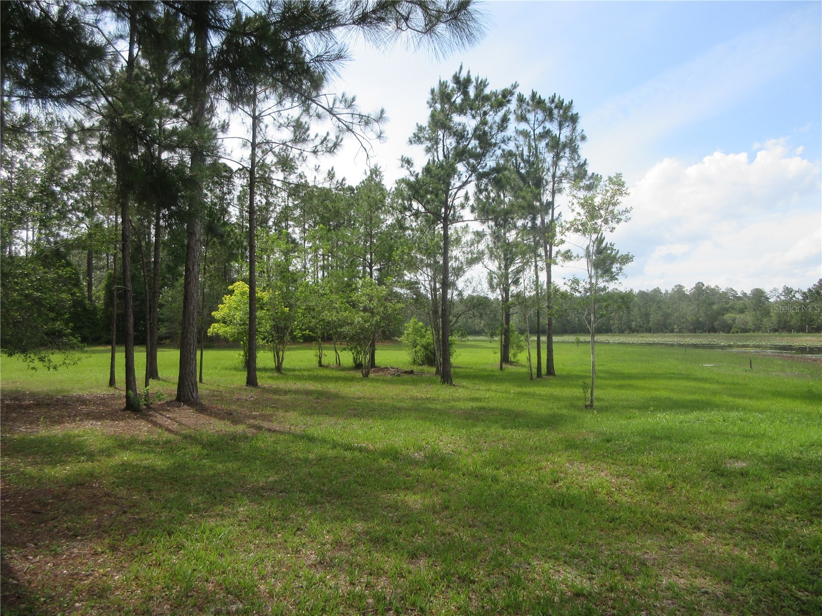 0 SE 10th Street Silver Springs FL 34488 - TOBE LAKE OM725798 image4
