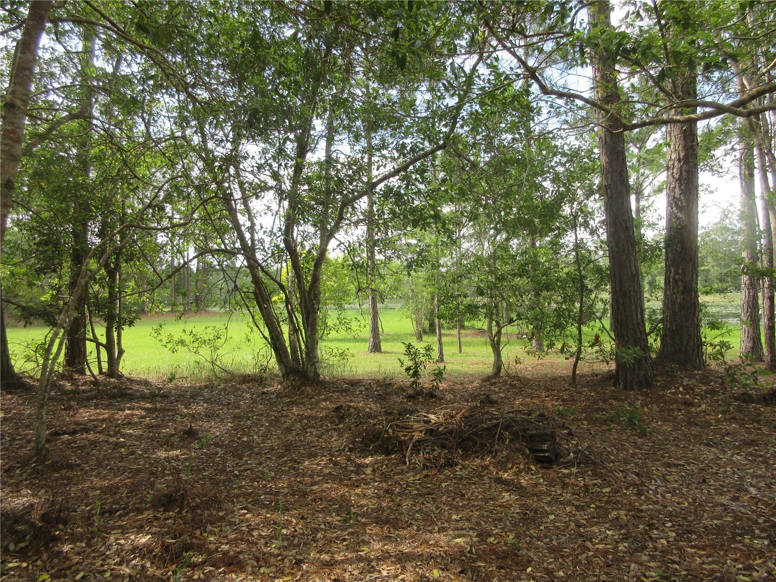 0 SE 10th Street Silver Springs FL 34488 - TOBE LAKE OM725798 image5
