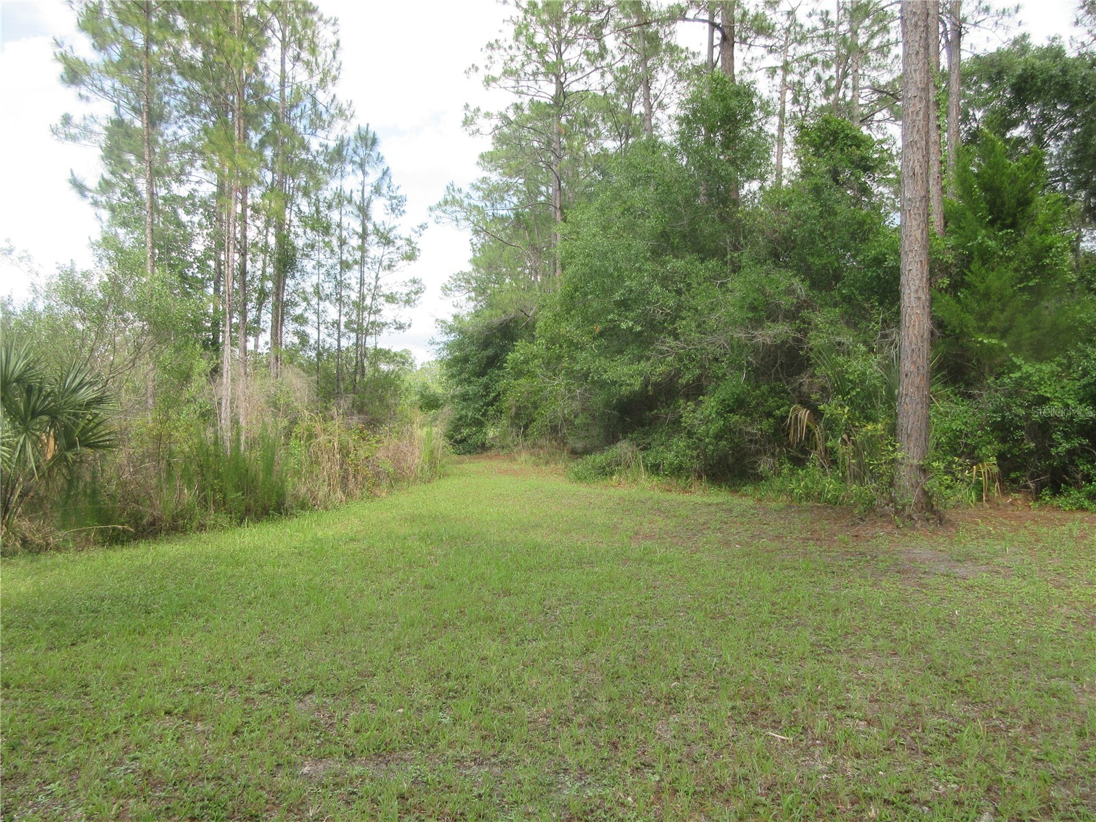 0 SE 10th Street Silver Springs FL 34488 - TOBE LAKE OM725798 image6
