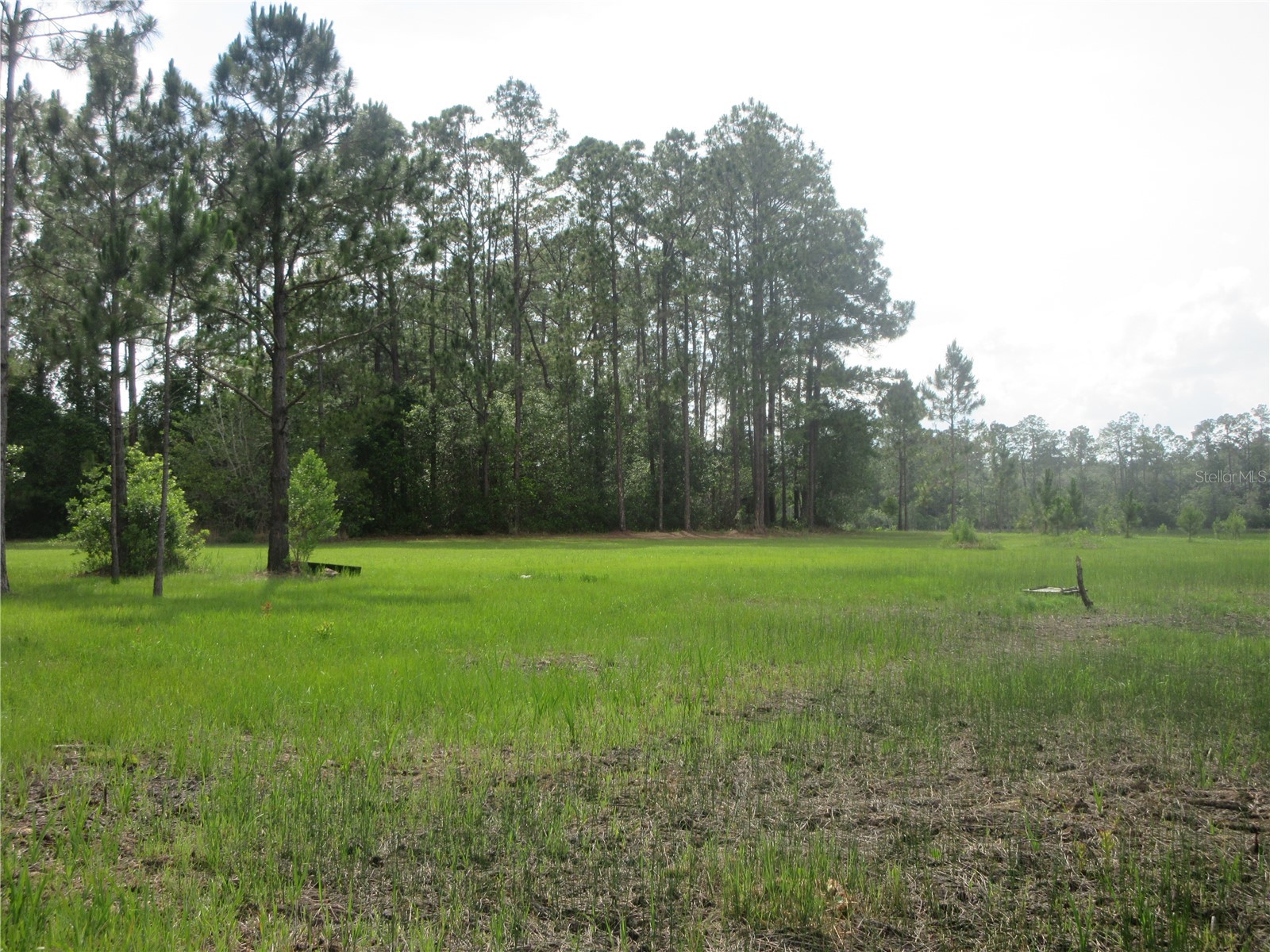 0 SE 10th Street Silver Springs FL 34488 - TOBE LAKE OM725798 image7