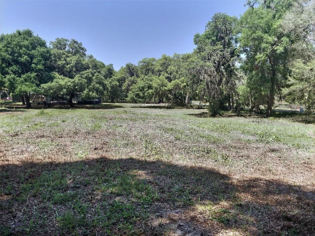 0 SE 110th Street Road Belleview FL 34420 - Smith Lake OM699725 image11