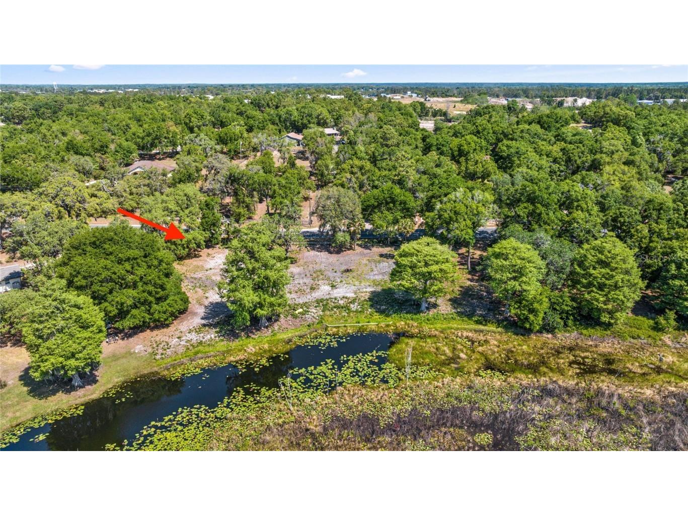 0 SE 110th Street Road Belleview FL 34420 - Smith Lake OM699725 image6