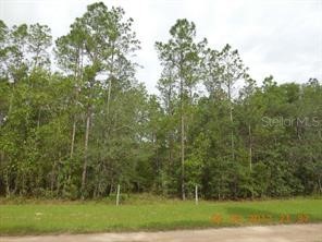 0 SE 113th Avenue Morriston FL 32668 OM643836 image1