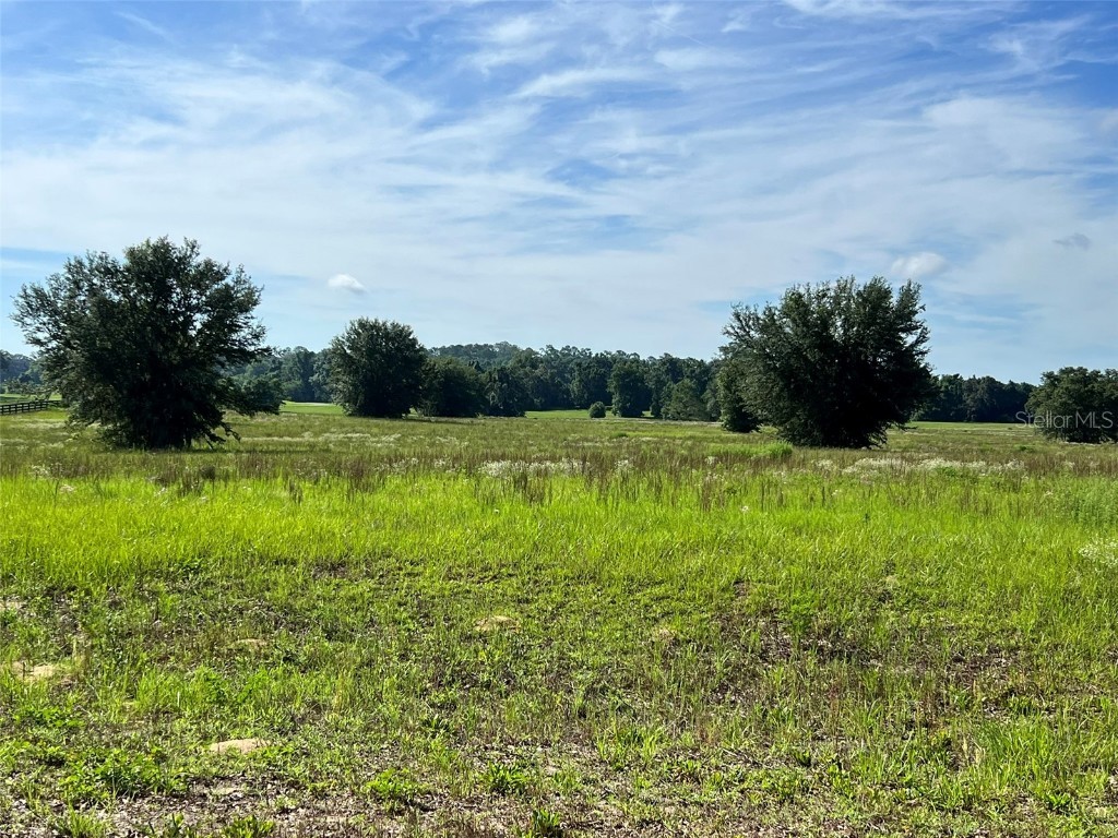 0 SE 116th Place Road Ocala FL 34480 OM695708 image7