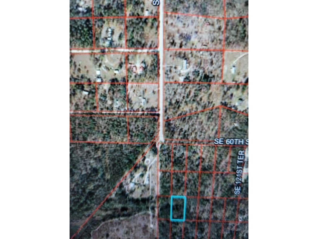 0 SE 120 Avenue Morriston FL 32668 O6332812 image3