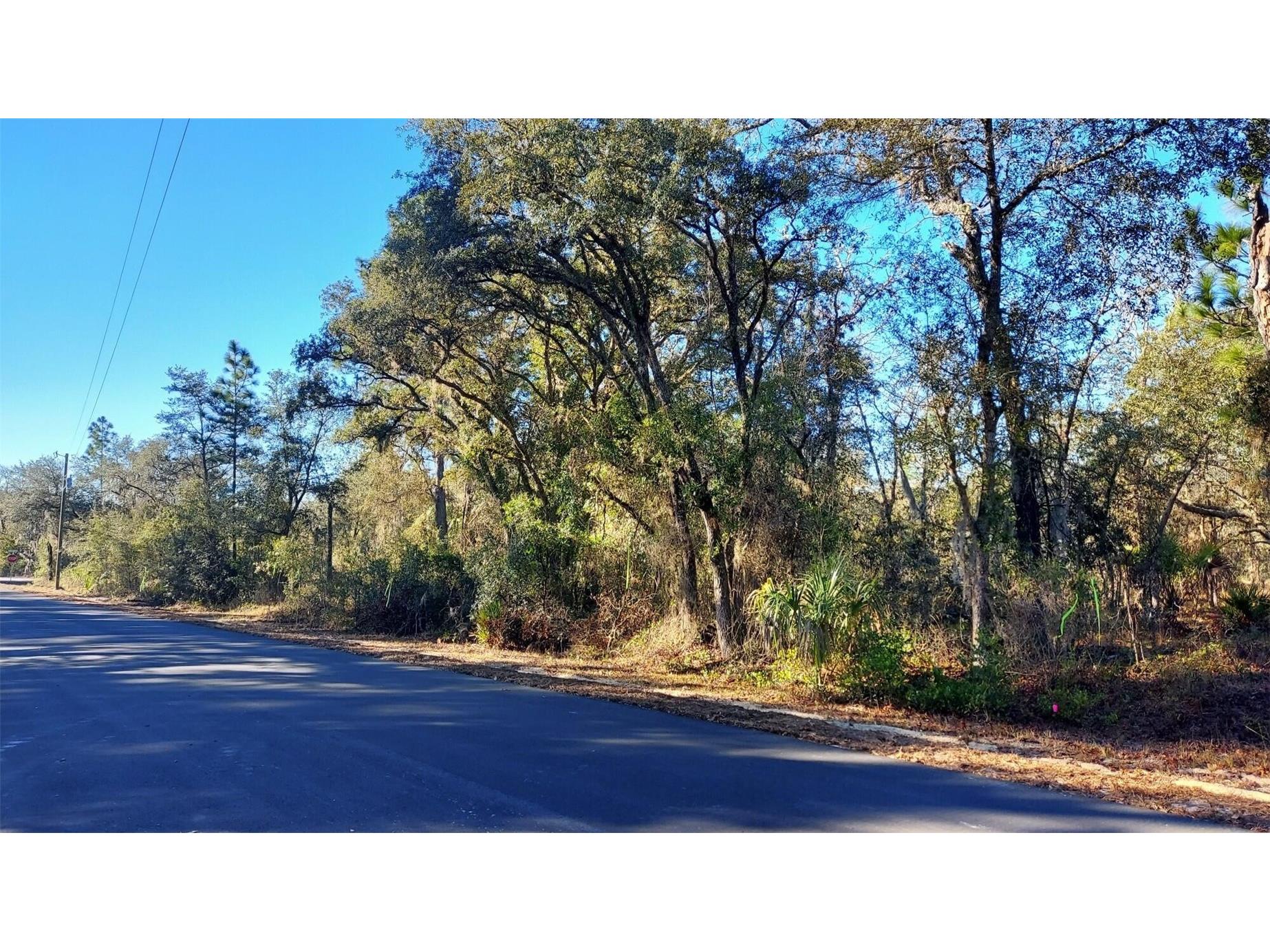 0 SE 124th Court Dunnellon FL 34431 O6388687 image1