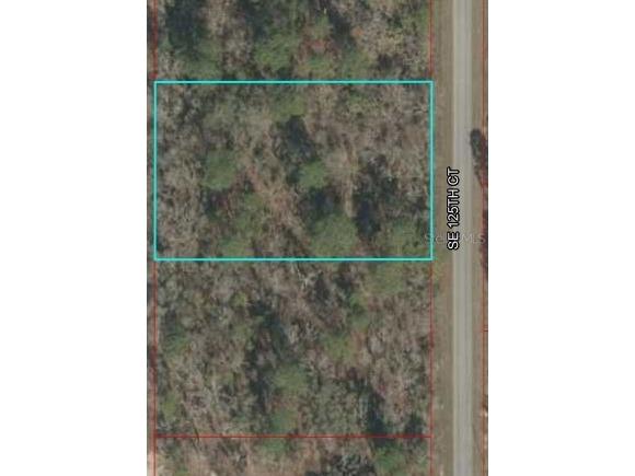 0 SE 125th Court Dunnellon FL 34431 OM654798 image1