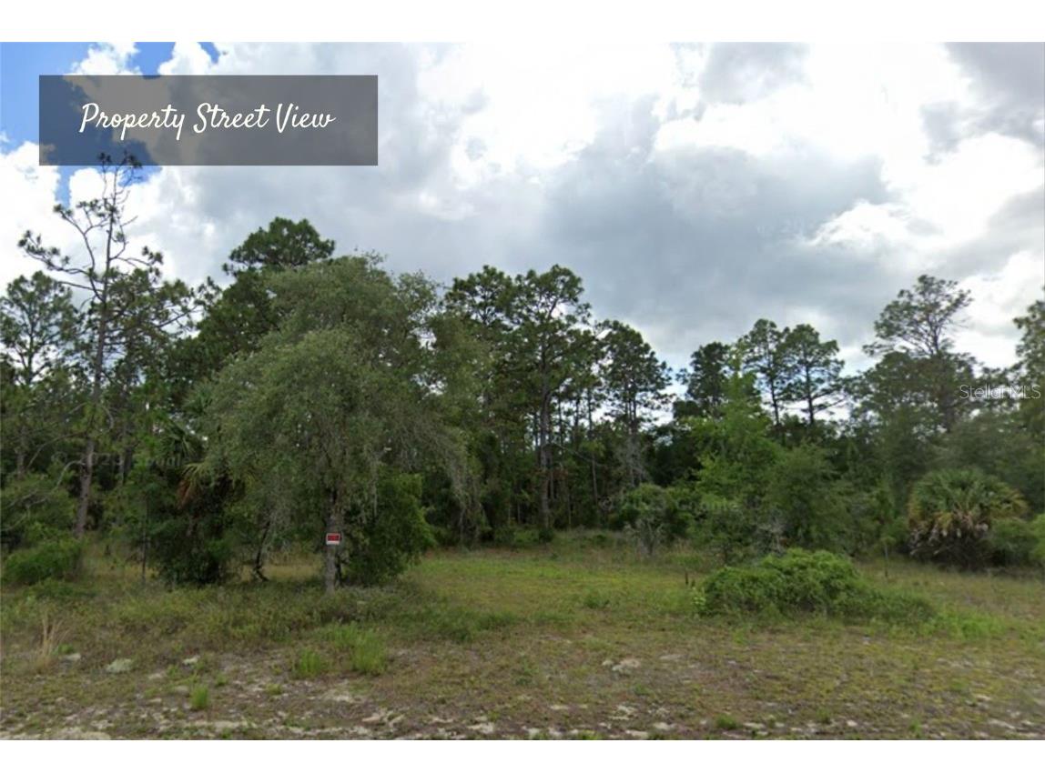 0 SE 125th Ct Dunnellon FL 34431 A4610922 image1