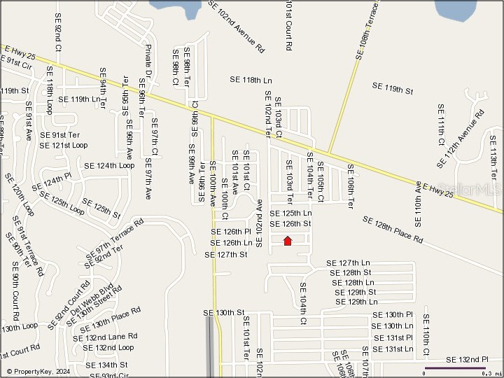 0 SE 126 Lane Belleview FL 34420 OM681733 image1