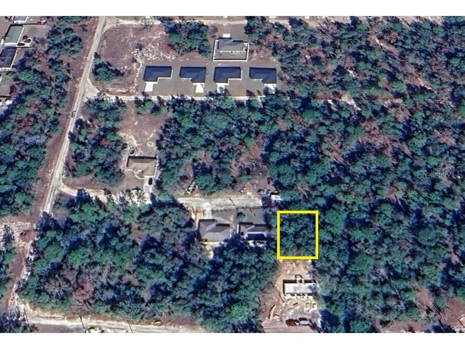 0 SE 126th Place Belleview FL 34420 O6410394 image1