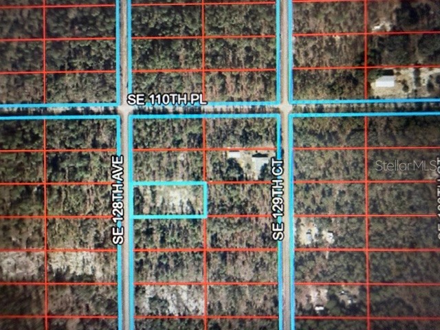 0 SE 128th Avenue Dunnellon FL 34431 OM725701 image1