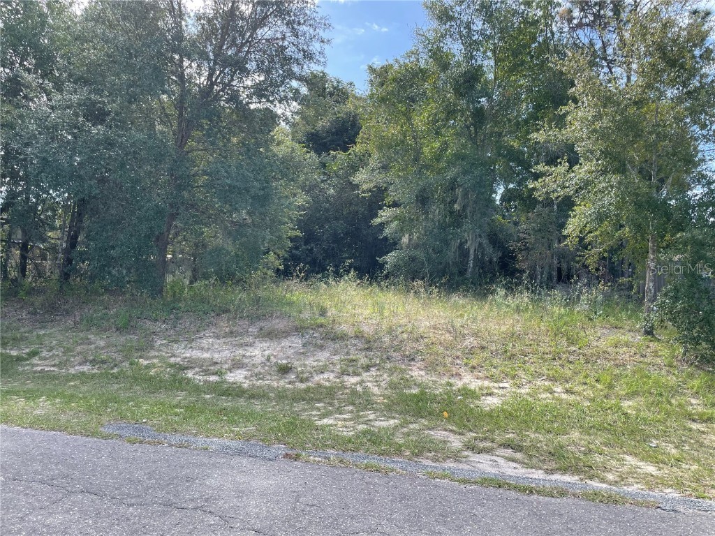 0 SE 129 Place Ocklawaha FL 32179 OM666880 image1