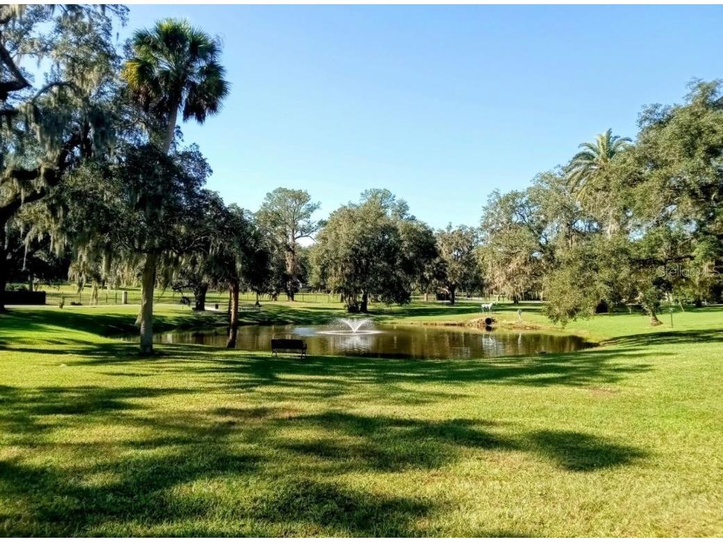 0 SE 12th Street N Ocala FL 34471 - SCOTTY J ANDREWS PARK NS1080044 image1