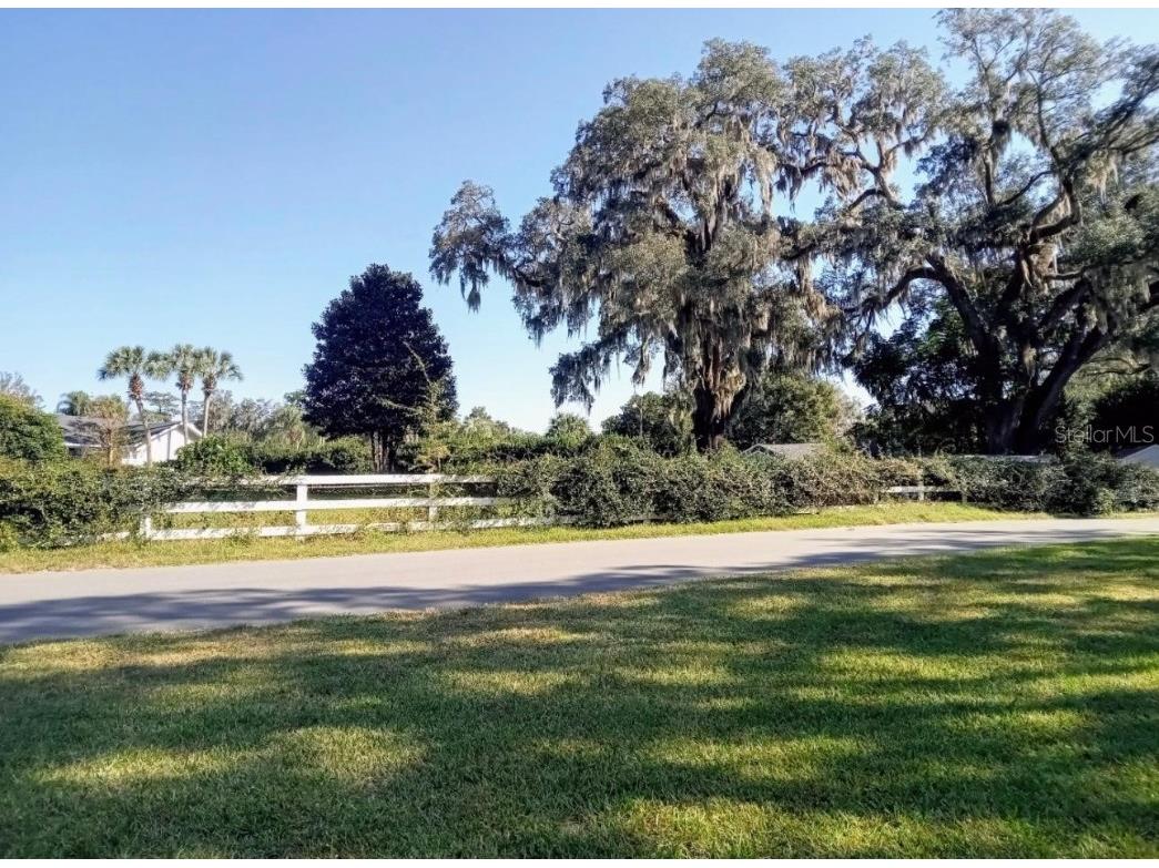 0 SE 12th Street N Ocala FL 34471 - SCOTTY J ANDREWS PARK NS1080044 image6