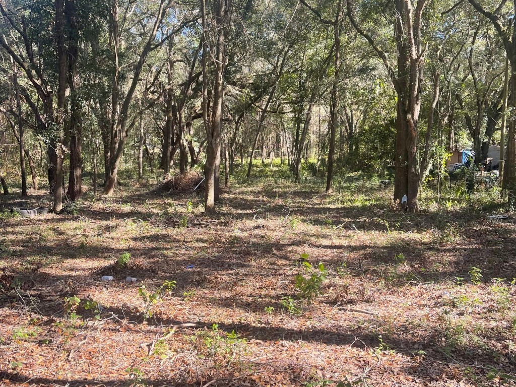 0 SE 130 Street Belleview FL 34420 OM690578 image2