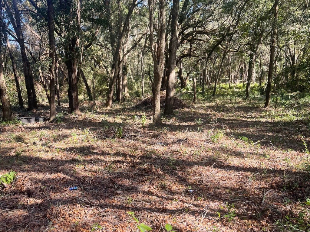 0 SE 130 Street Belleview FL 34420 OM690578 image4