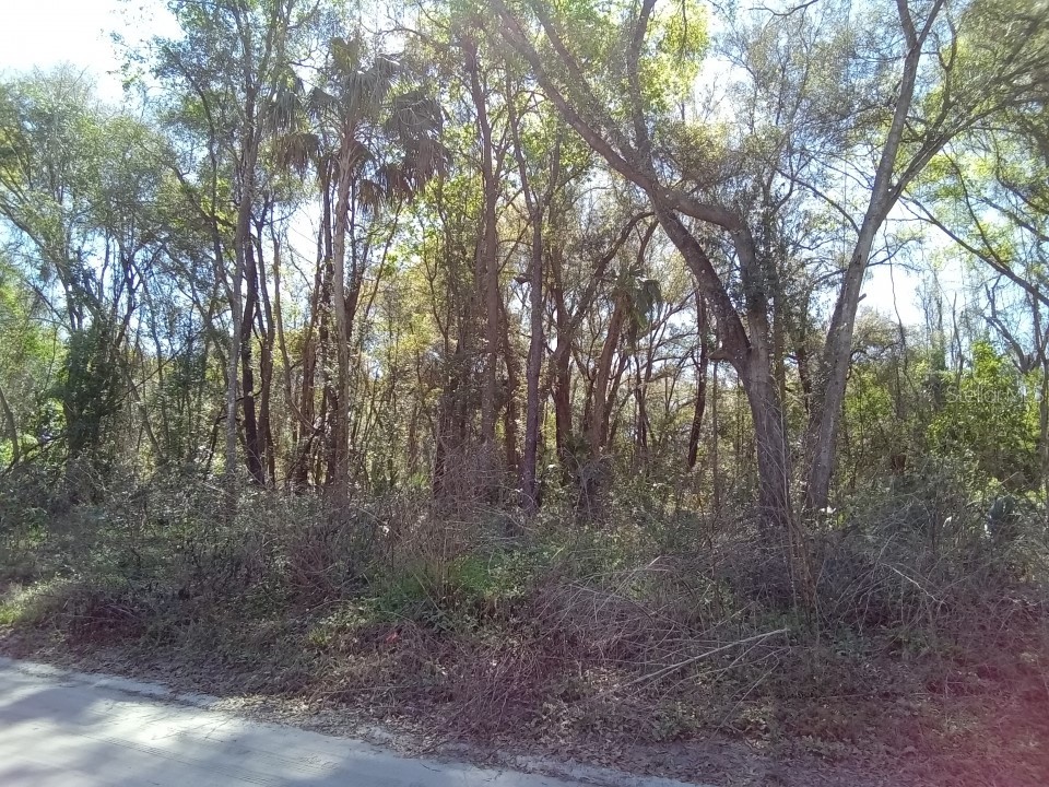 0 SE 130th Place Belleview FL 34420 O6124105 image1