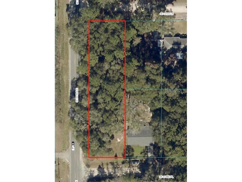 0 SE 132nd Place Belleview FL 34420 OM656268 image1