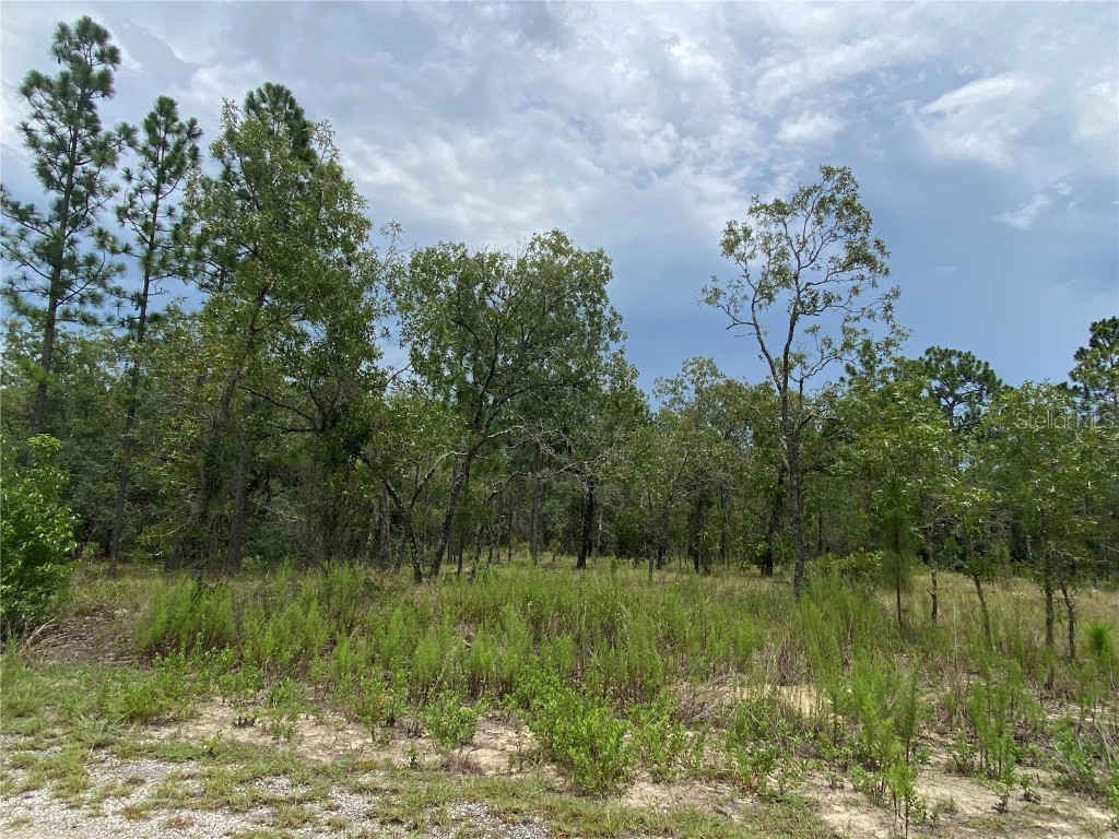 0 SE 134th Court Dunnellon FL 34431 OM658781 image1