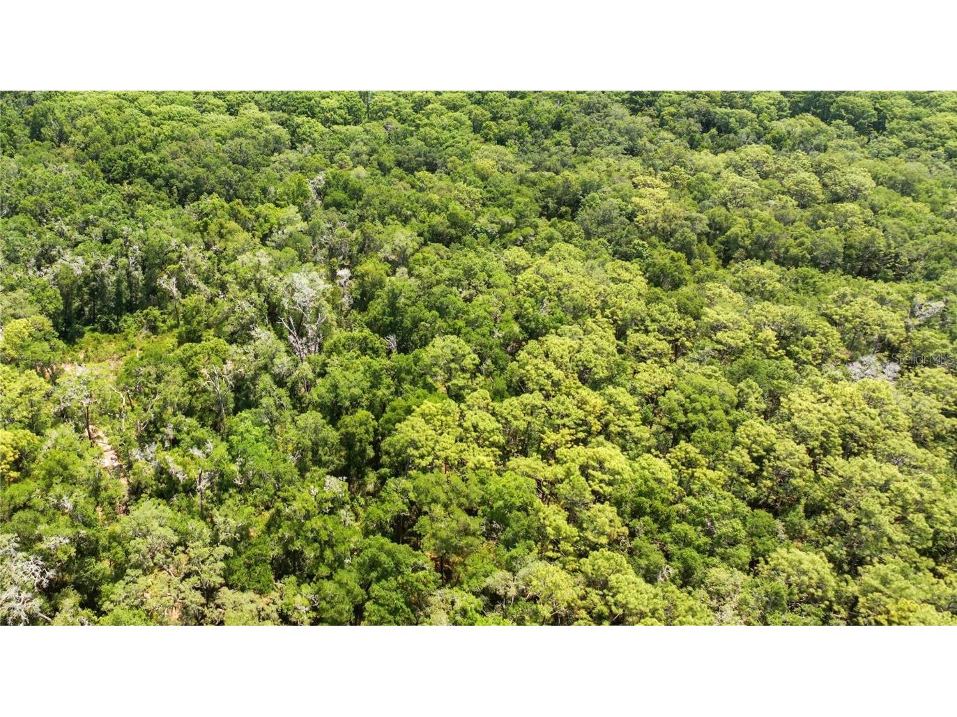 0 SE 134th Court Weirsdale FL 32195 TB8412922 image1