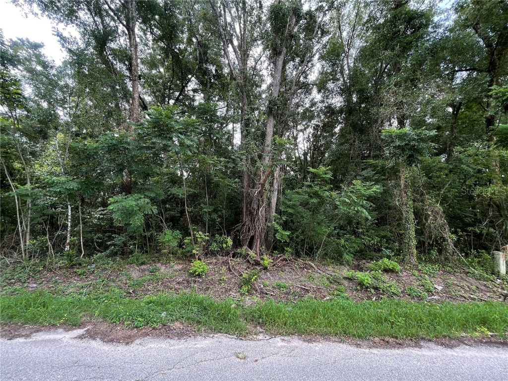0 SE 135 Place Summerfield FL 34491 OM706779 image1